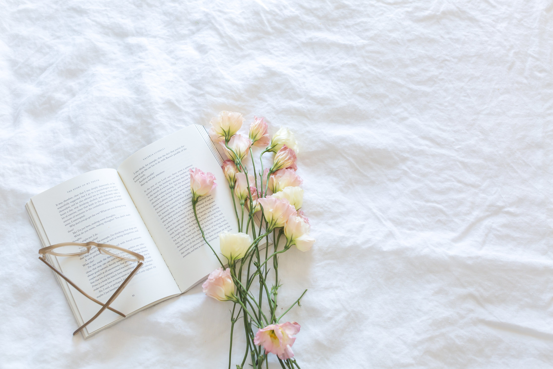 Yellow and Pink Flowers Beside Book